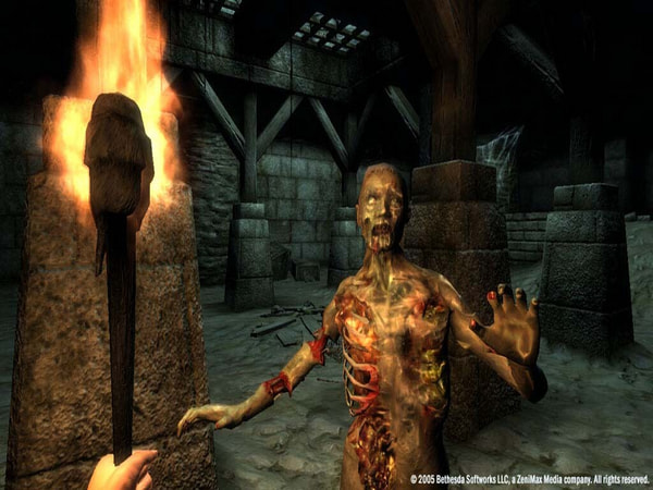 Elder Scrolls IV: Oblivion – GOTY Edition Deluxe Captura 3