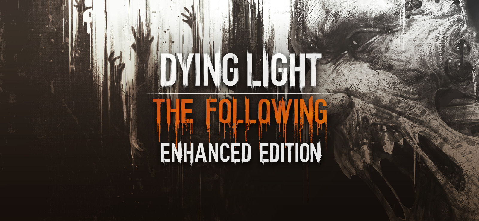 dying light crack only skidrow